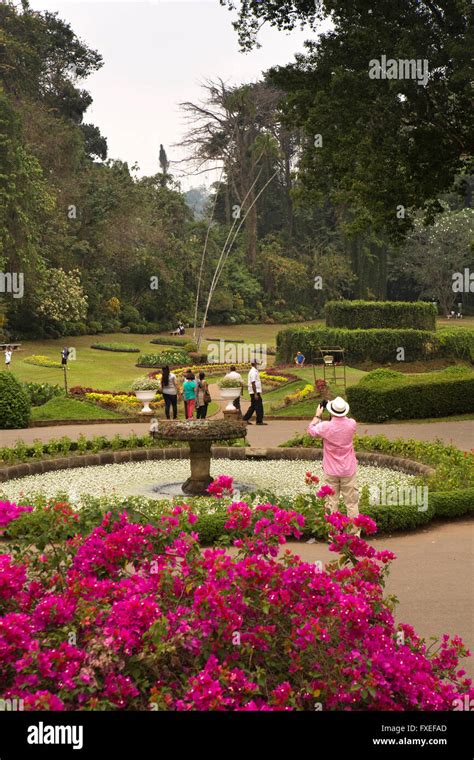 Sri Lanka, Kandy, Peradeniya Royal Botanical Gardens Stock Photo - Alamy