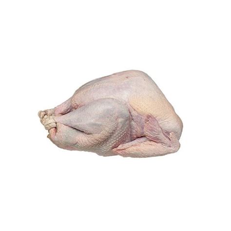 Frozen Whole Turkey - Order Online & Save | Food Lion