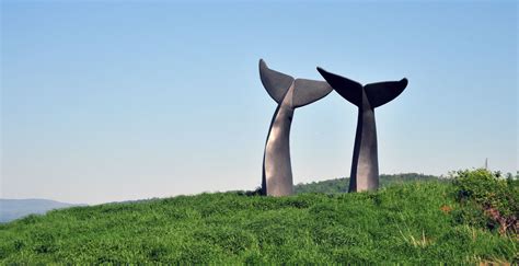 The story of the Whale’s Tails sculpture at Technology Park, seen from ...