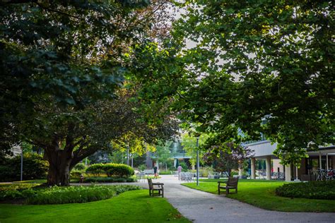 What Is UNC's Waitlist Acceptance Rate? | Ivy Coach