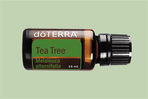 Tea Tree Essential Oil DoTERRA Essential Oils