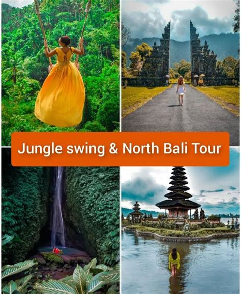 Jungle Swing And North Bali Tour 55usd Per Car Go Adventure Bali