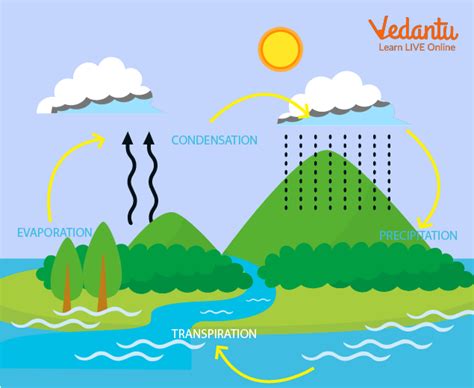 Draw A Labeled Diagram Of The Process Of Condensation The Bi