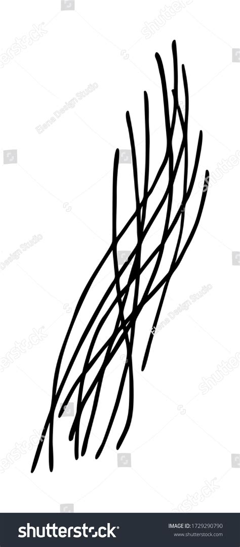 1649 Vector Hair Strand Images Stock Photos And Vectors Shutterstock