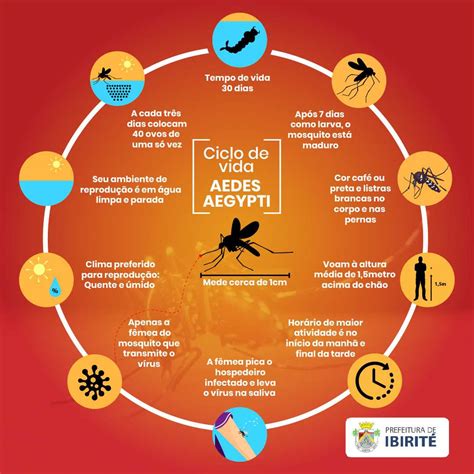 Prefeitura Municipal De Ibirit Que Tal Aproveitar O Isolamento