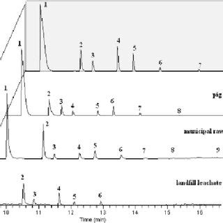 Gc Ms Sim Chromatograms Of Extracts Of Real Samples Designations