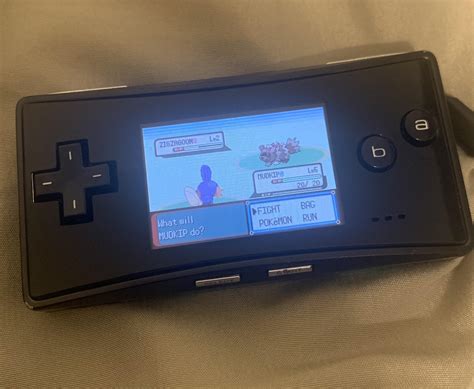 Finally Got Shiny Mudkip Rpokemonemerald