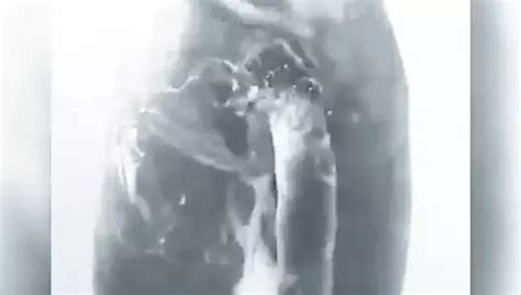 Savi Needs Attention Free Gay Porn Video C Xhamster