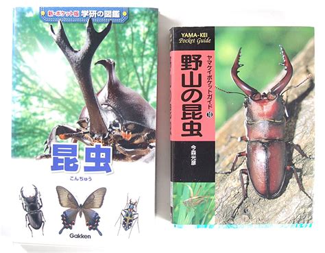 Yahooオークション 野山の昆虫 新・ポケット版学研の図鑑 昆虫