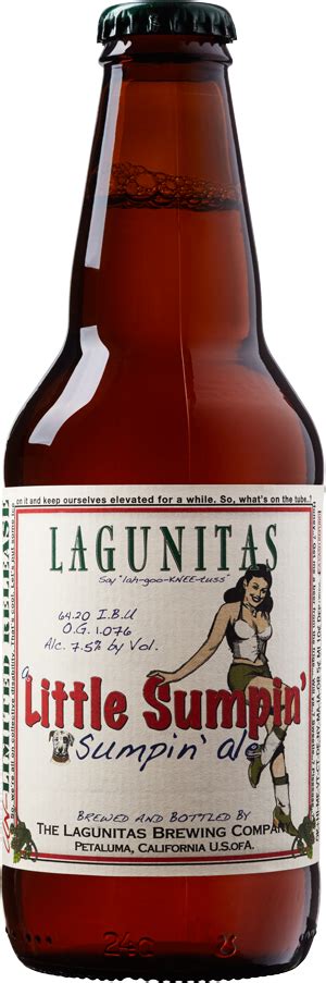 Lagunitas Little Sumpin Sumpin Beer Review