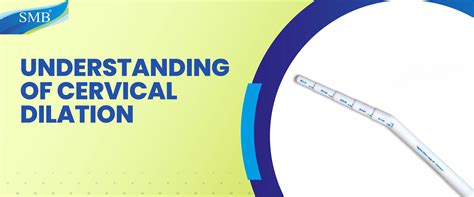 Understanding Cervical Dilation: SMB Cervical Dilator for Safe and
