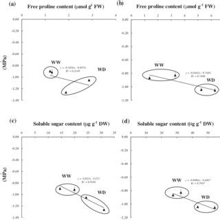 Relationship Between Leaf Osmotic Potential And Total Chlorophyll