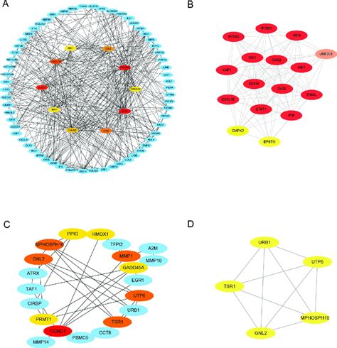 Identification Of Hub Genes From Ppi Network Using Cytoscape Plugins