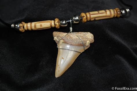 Megalodon Tooth Necklace For Sale (#596) - FossilEra.com