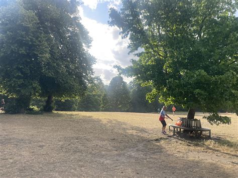 Gamblers are analyzing the Remington park race results for patterns 2