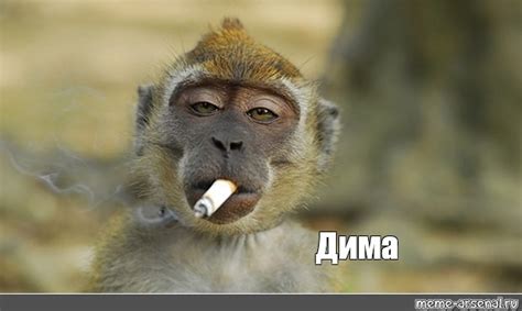 Meme: "Дима" - All Templates - Meme-arsenal.com