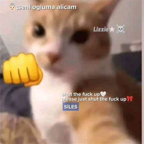 please shut THE FUCK up keşfet aesthetic gacha itzymidzy gachalife memes suga kpop