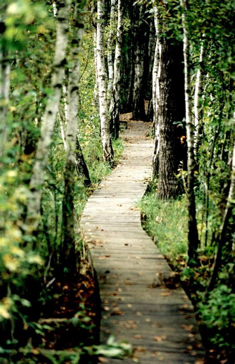 path  photo  freeimages