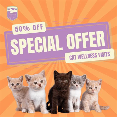 Carbondale, CO 81623 Veterinarian - Alpine Animal Hospital