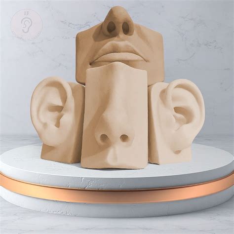 Kit Expositor Orelha Vertical Nariz Boca Nude Expositores De Silicone