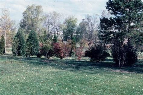 History CSU Heritage Arboretum And Woody Plant Research