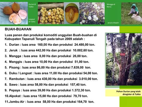 Potensi Dan Peluang Investasi Kabupaten Tapanuli Tengah PPT