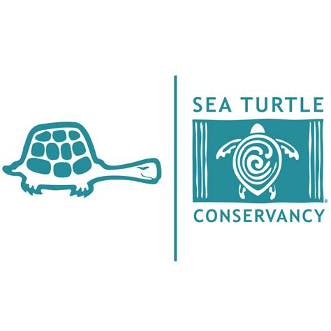 Skip The Straw Press Release The Greene Turtlethe Greene Turtle