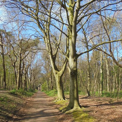 DUINRESERVAAT CASTRICUM (2025) All You Need to Know BEFORE You Go (with ...