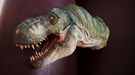 T Rex Bust By Manusaurio On Deviantart Rex Deviantart Bust