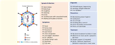 Adenovirus Sintomas St. Louis Encephalitis Virus Greater Los Angeles