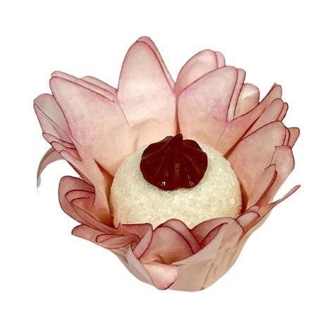 Forminha Para Doces Finos Madri Nude Unidades Decora Doces Rizzo Rizzo Embalagens