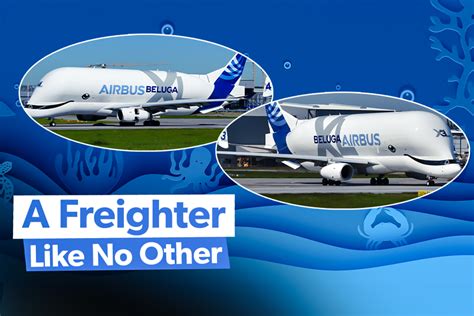 Airbus Beluga Transport: Everything You Need To Know