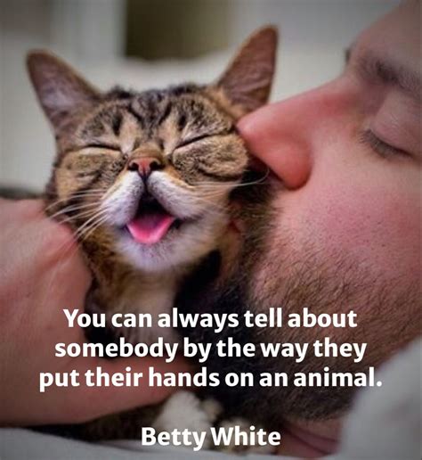 In Their Eyes Top 50 Quotes On Showing Kindness To Animals Artofit