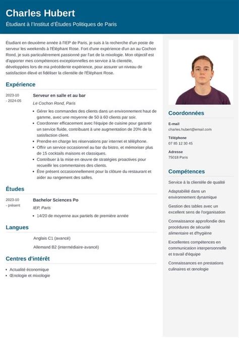 Comp Tences Sur Un Cv D Tudiant Liste Dexemples