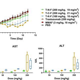 In Vivo Efficacy Of ADCs In Nude Rat Xenograft Model A Tumor Growth
