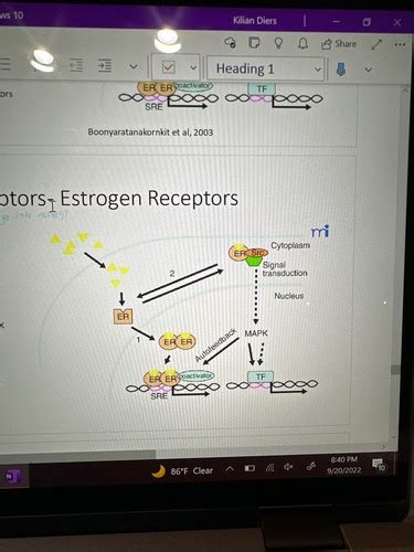 Signal Transduction Chart Flashcards Quizlet