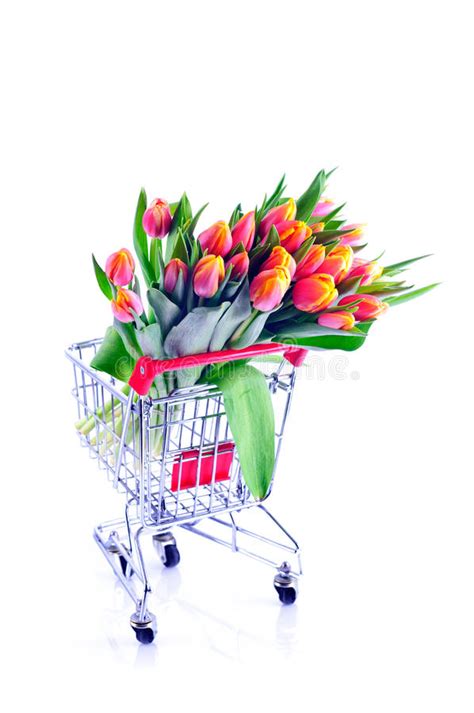 Bos Van Rode Tulpen Stock Afbeelding Image Of Liefde 65550827