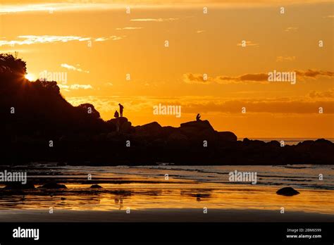 Monkey Island Te Waewae Bay New Zealand Stock Photo Alamy