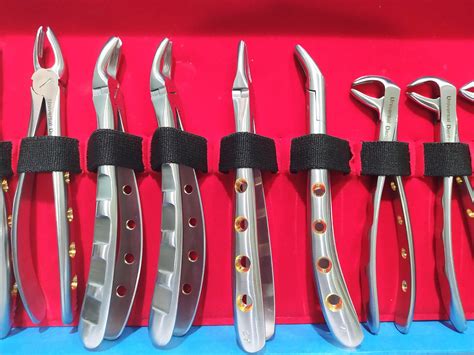 extraction forceps kit golden holes universal dental pvt