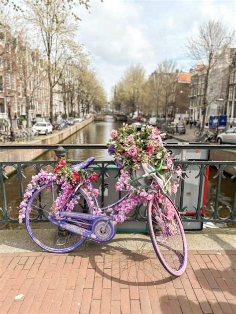 Best Instagram Spots In Amsterdam Travel With Simina