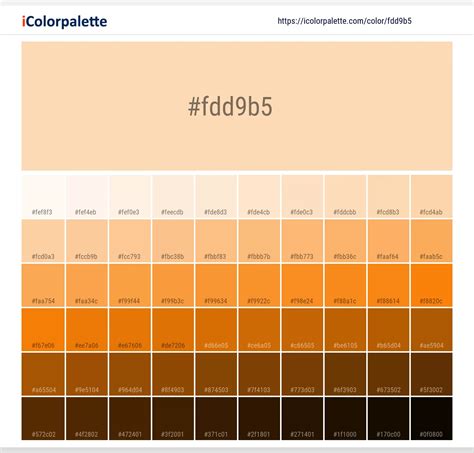 Sandy Tan information | Hsl | Rgb | Pantone