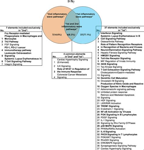 Frontiers Approaching Inflammation Paradoxesproinflammatory Cytokine