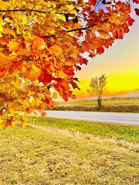 Autumn Is The Most Beautiful Season Of The Year Stock Photo Image Of
