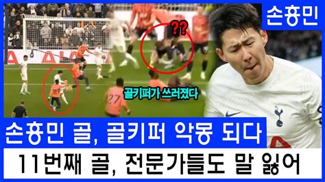 손흥민의 골 골키퍼의 악몽 손흥민의 11번째 골이 논리를 무시하자 전문가들 말을 잃다 골키퍼를 무릎 꿇게 만든 교활한