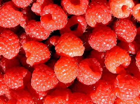 Sfondi Cibo Rosso Frutta Fragole Leggero Pianta Bacca Fragola