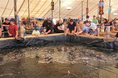 About The Owen Sound Salmon Spectacular – Sydenham Sportsmen Association