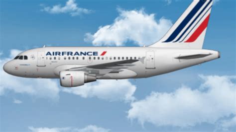 Airbus A317. You're welcome. : r/aviationmemes