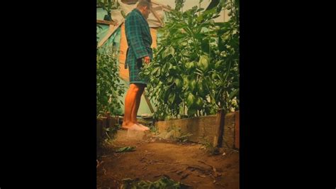 Guy Pissing In Public Pornhub Gay