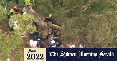 Video Elderly Man Found In Sydney Bushland After Four Day Search