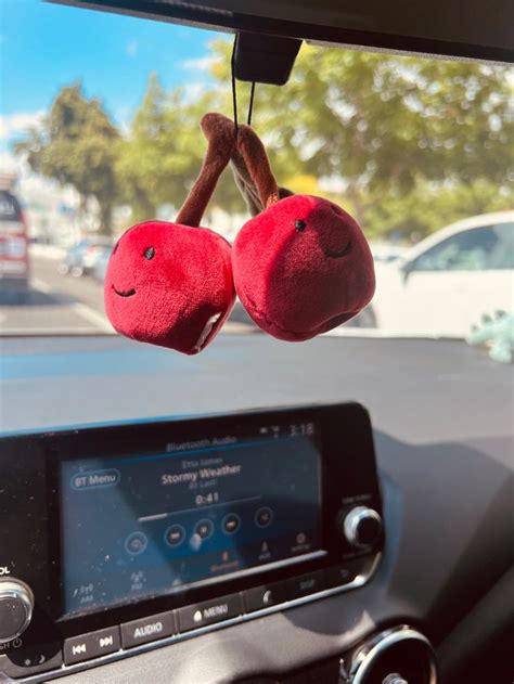 Jellycat ;)🍒 | Jellycat, Cool car accessories, Cute cars